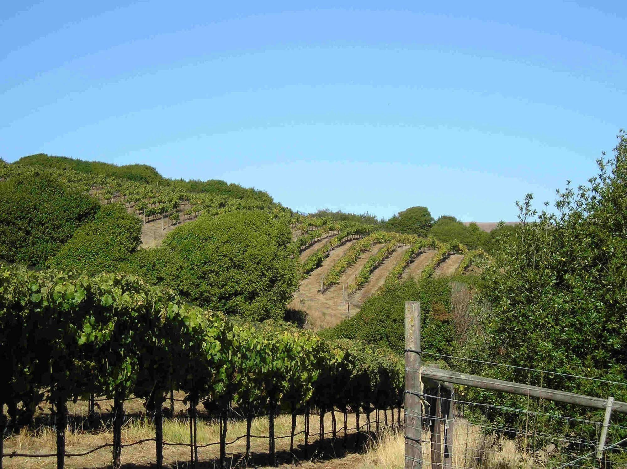 Point Reyes Vineyard Inn California City Eksteriør bilde
